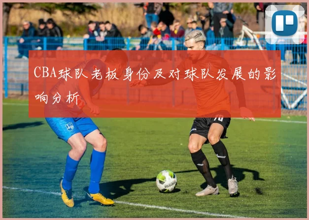 CBA球队老板身份及对球队发展的影响分析