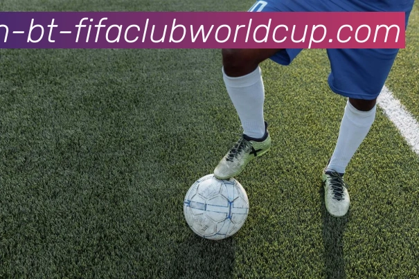 世界杯赛程服务体系