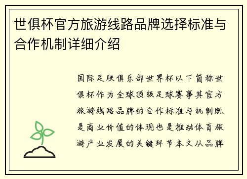 世俱杯官方旅游线路品牌选择标准与合作机制详细介绍